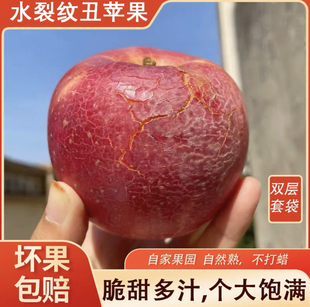 冰糖心苹果 新鲜水果新鲜脆甜 山西正当季整箱 应季现季丑苹果