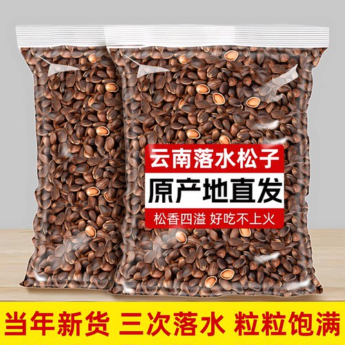 云南生松子新鲜原味手剥散装大颗粒非巴西松子孕妇坚果零食旗舰店