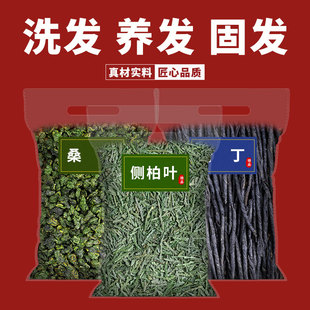 侧柏叶干桑叶大叶苦丁茶叶侧佰叶中药材洗头洗发泡头官方旗舰店