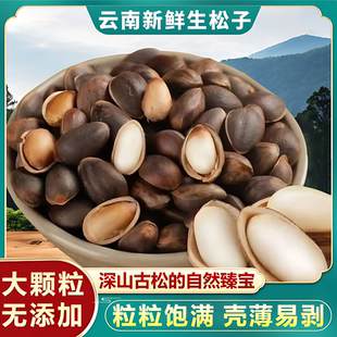 云南生松子散装新鲜原味孕妇非东北松树籽松仁手剥落水黑松子正品