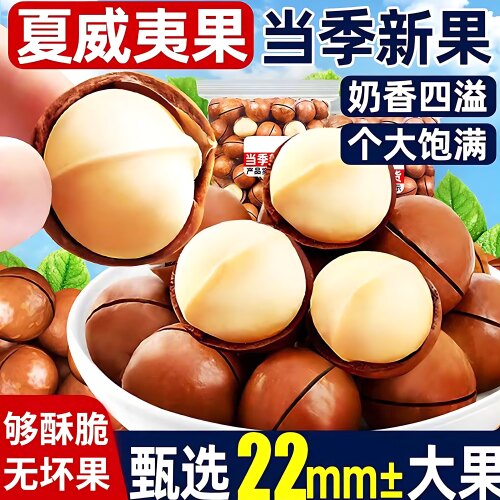 2026新货夏威夷果云南大颗粒