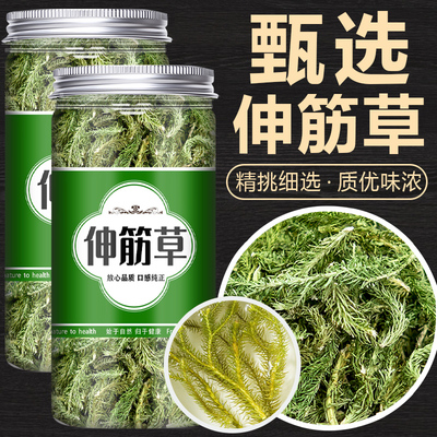草香祁州伸筋草石松罐装泡水煲汤