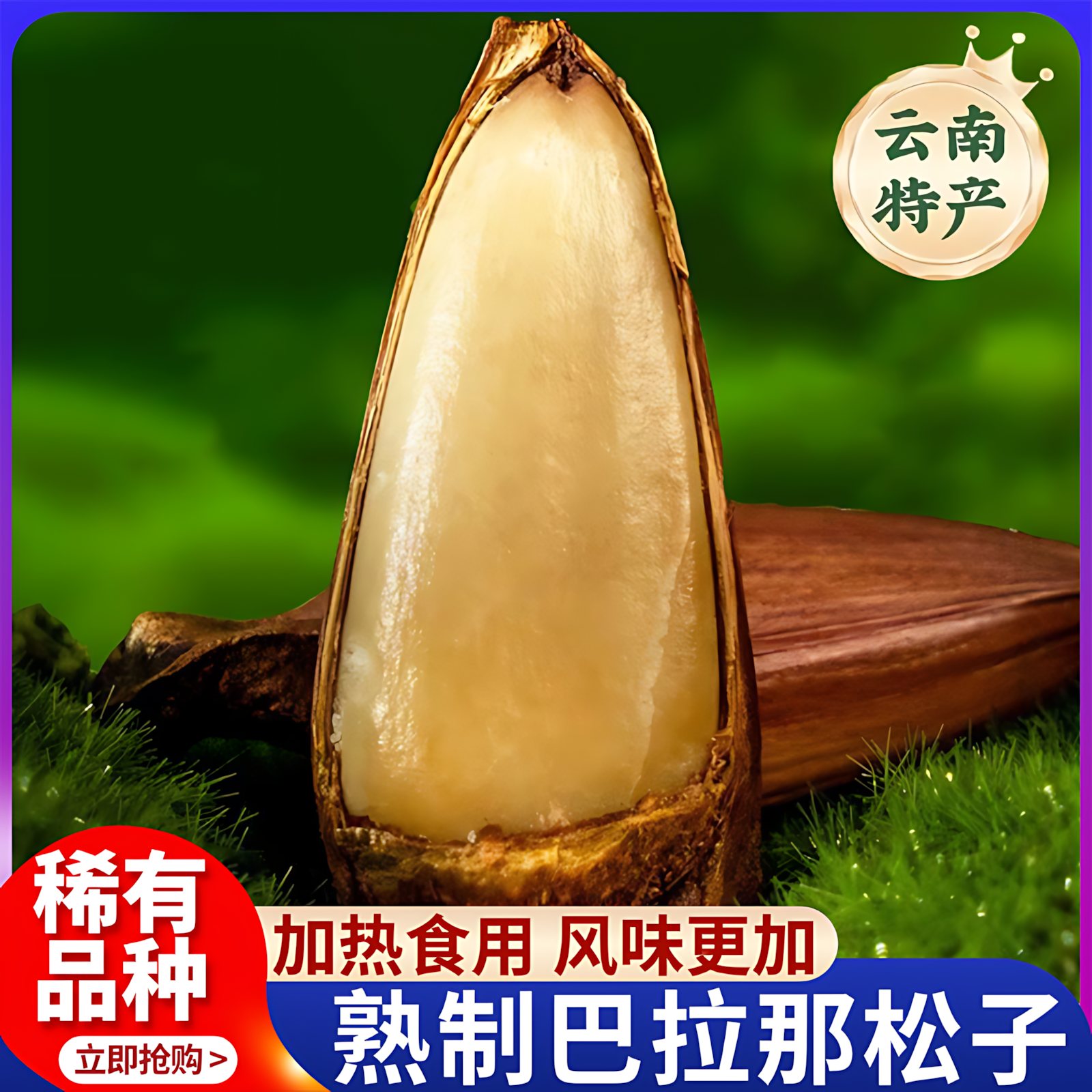 巴拉那松子盒装正宗中云巴松原味熟食拇指大松子开口手剥年货送礼