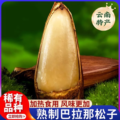巴拉那松子盒装正宗中云巴松原味熟食拇指大松子开口手剥年货送礼