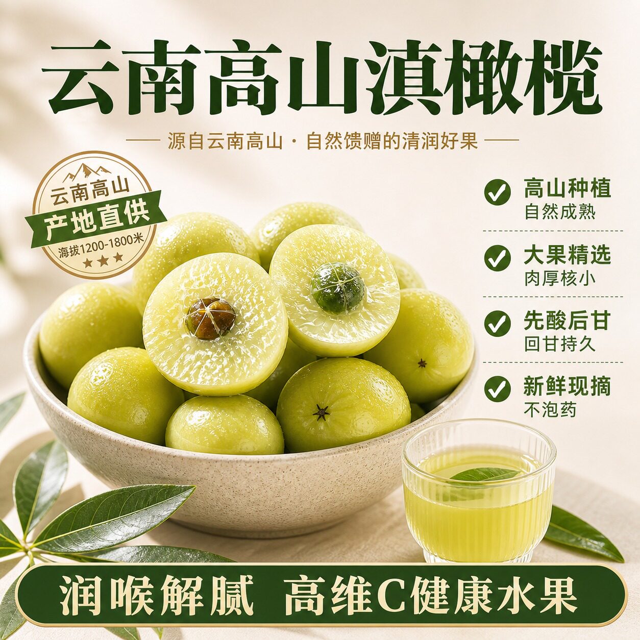 新鲜采摘青橄榄果新鲜檀香橄榄500g甘草新鲜蜜饯福建炖汤孕妇水果