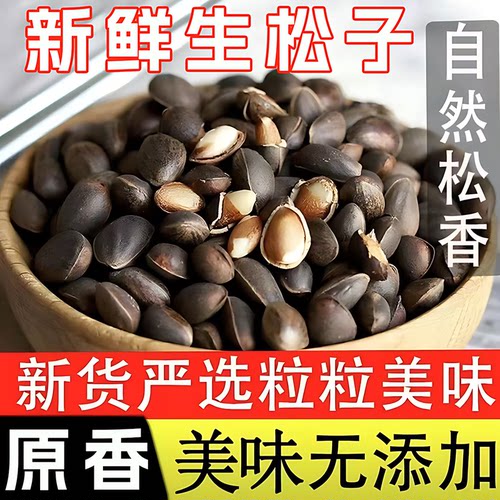 云南新鲜生松子落水松零食坚果原味松树坚果大颗粒松子2025年新货