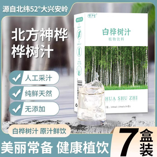 白桦树汁原液植物饮料天然提取汁液非东北桦树茸白华浓缩液
