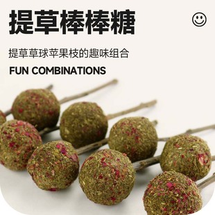 4支 提草棒棒糖龙猫仓鼠磨牙棒金丝熊小宠磨牙零食宠物送苹果枝