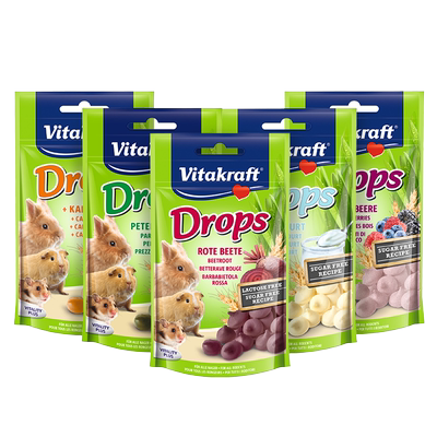 水滴奶酪仓鼠兔子龙猫豚鼠