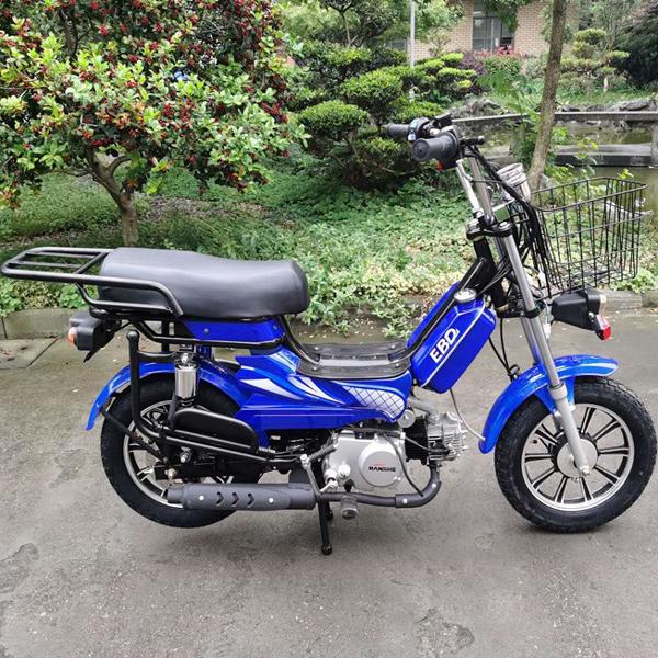 四冲程燃油助力车4870cc