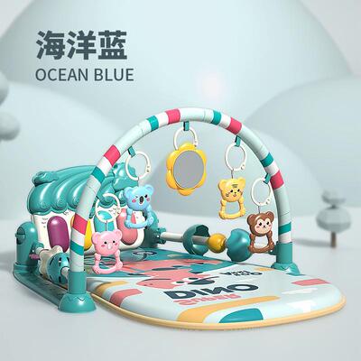 Baby Activity Gym Play Mat Newborn 0-12 Months Developing Ca