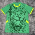 2425 Senegal E Away Game
