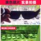 玻璃焊工防护镜透明平光劳保护目镜烧氩弧焊气焊电焊墨镜强光