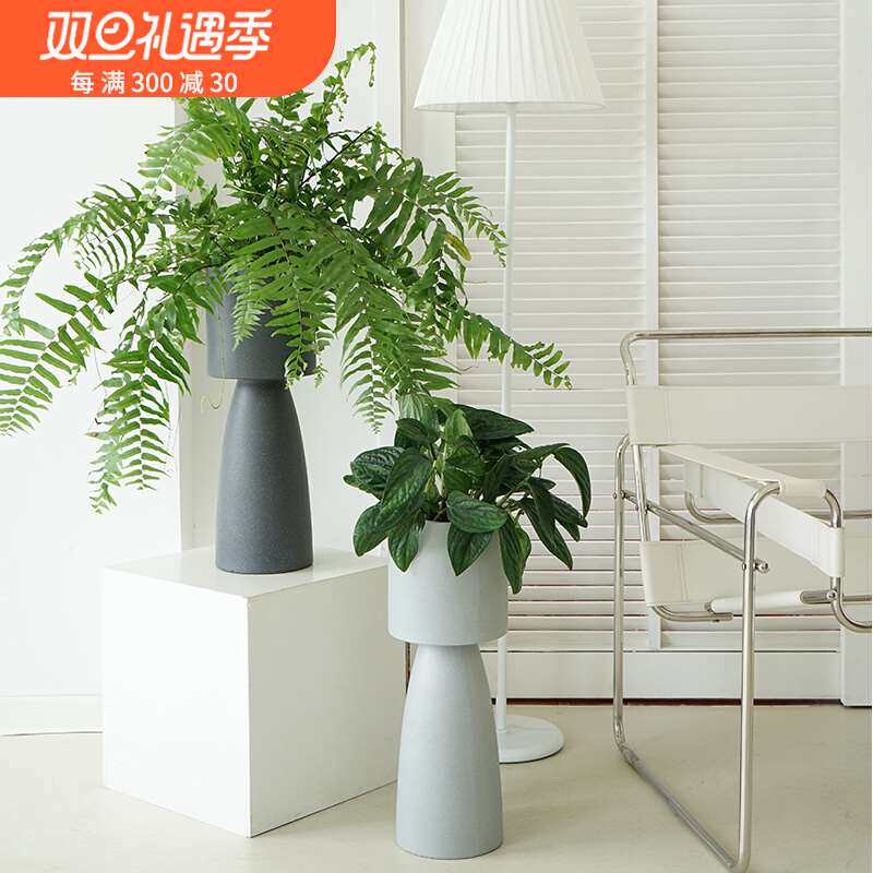 北欧创意落地细高款花盆客厅兰花绿萝ins蕨类高端侘寂风高脚花器