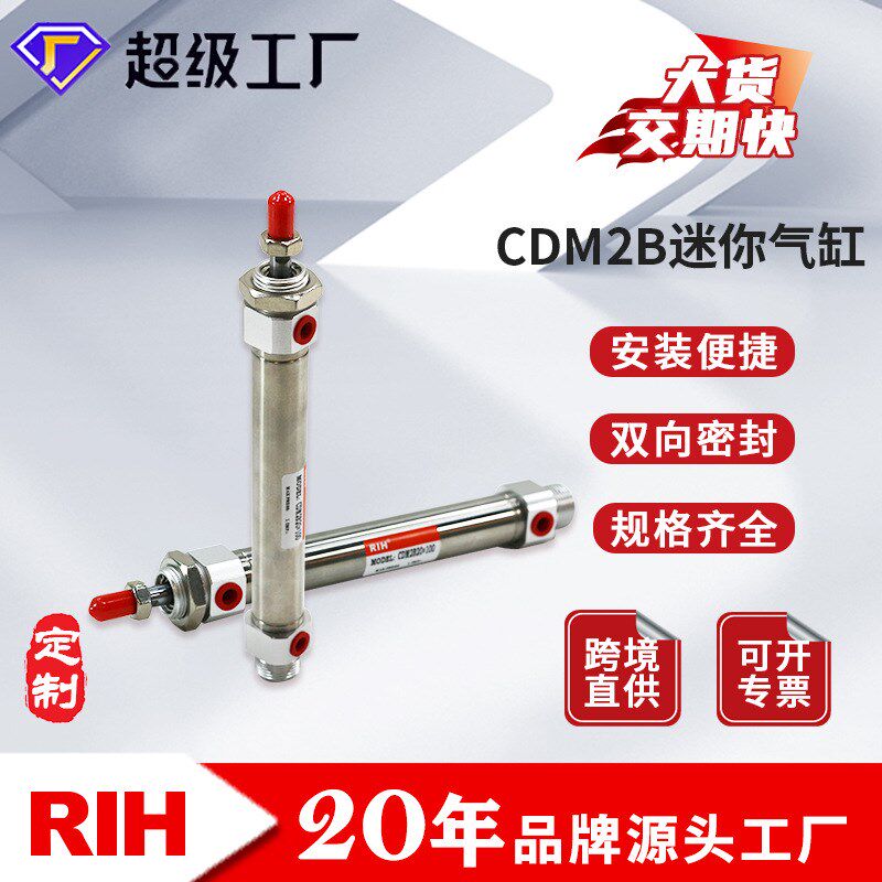 瑞亨CDM2B迷你气缸 SMC型不锈钢小型微型汽缸机械气动元件