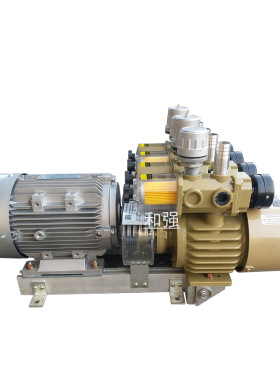 宇旭WQB50-P-V/VB双头真空泵HZB50-SP-VVB-03对应好利旺CBX25
