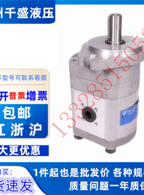 合肥皖液齿轮马达 CMF-F306/F308/F310/F316/F320/F325-ALP/ALZS