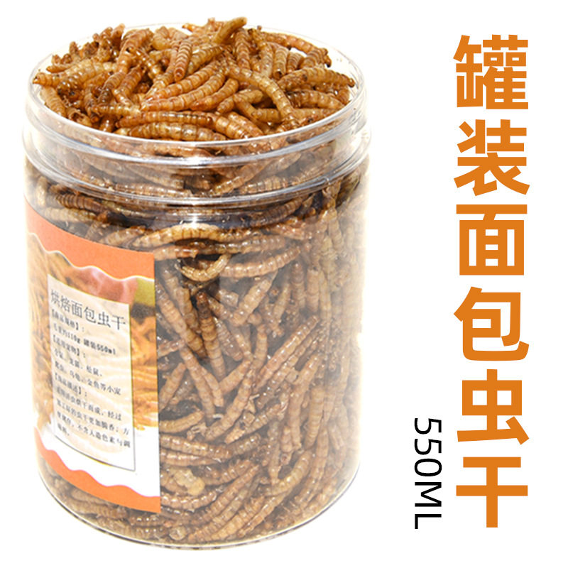 罐装面包虫干 黄粉虫 仓鼠宠物 食粮观赏鱼鱼食龟粮罐装550ml
