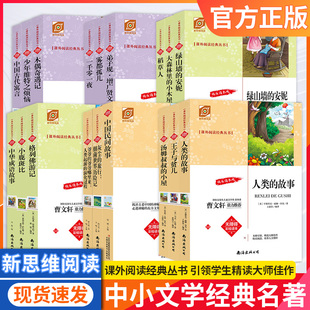 中小学名著阅读系列爱的教育爱丽丝漫游奇境安妮日记傲慢与偏见八十天环游地球宝葫芦的秘密边城边城·雪晴城南旧事