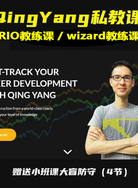 QingYang私教课德州扑克GTOwizard RIO教练课QY课程piosolver教学