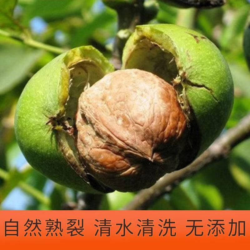 新疆纸皮核桃原味无添加