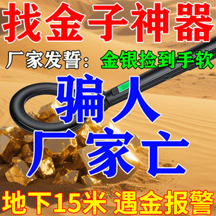 地下寻宝金属探测器德国进口高精度找黄金银铜排除铝铁能探10米深