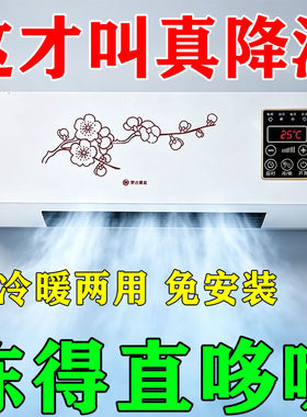 夏天制冷小空调便携式移动冷暖两用一体机家用无外机免安装冷风机