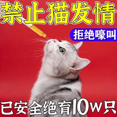 猫咪禁情液效果棒棒棒2023最牛