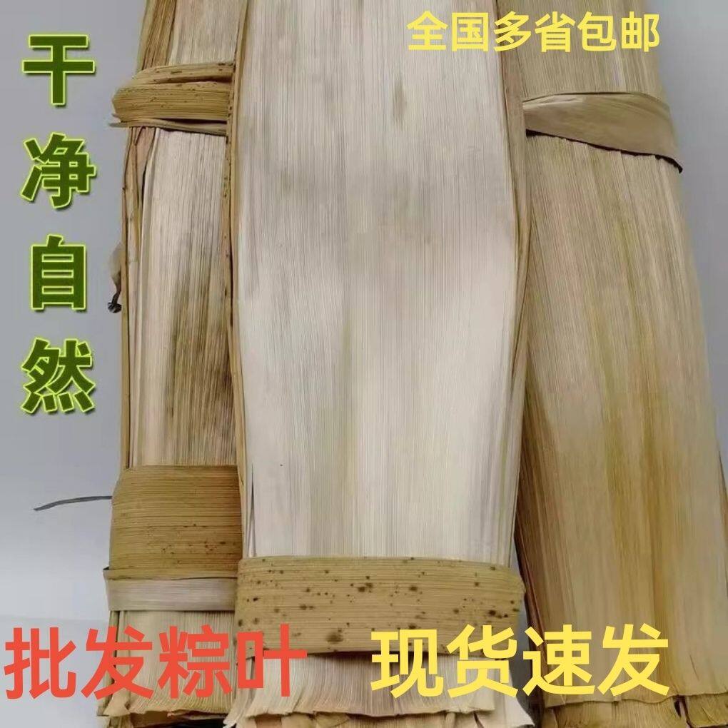 天然野生粽叶大宽叶竹笋壳叶老式粽叶斑竹叶端午节包粽子包黄粑用