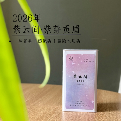 紫芽政和白茶贡眉2026新茶