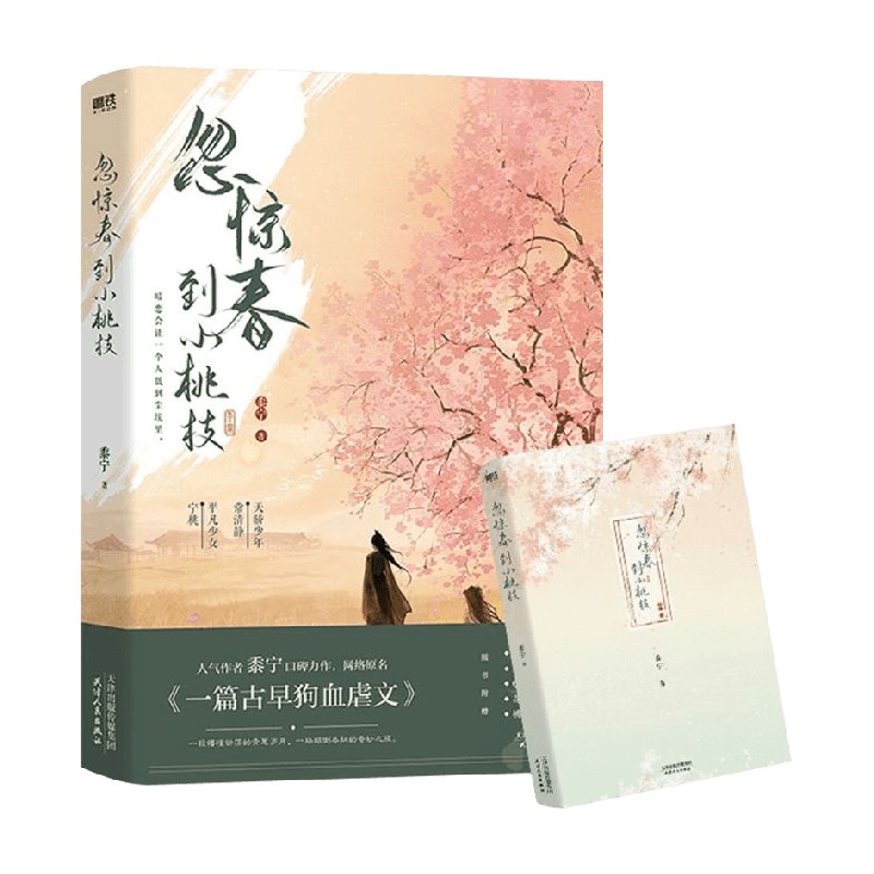 忽惊春到小桃枝 黍宁著 网络原名 一篇古早狗血虐文 新锐作者黍宁 中信