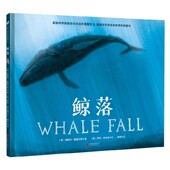 8岁 梅利莎·斯图尔特 鲸落 著 科普