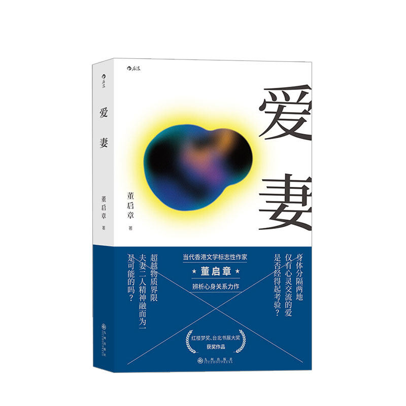 爱妻 台北书展大奖获奖作品 香港标志性作家董启章著作 华语文学 中信