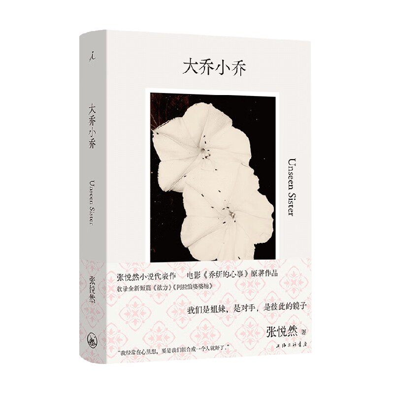 大乔小乔张悦然著小说