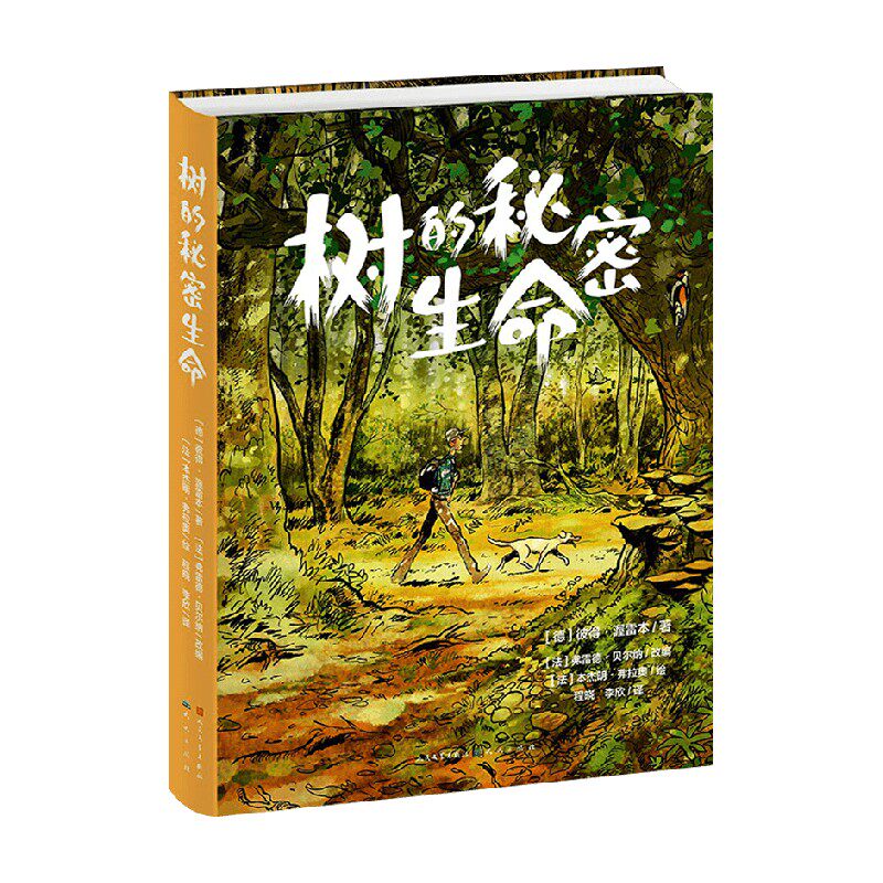 树的秘密生命彼得·渥雷本