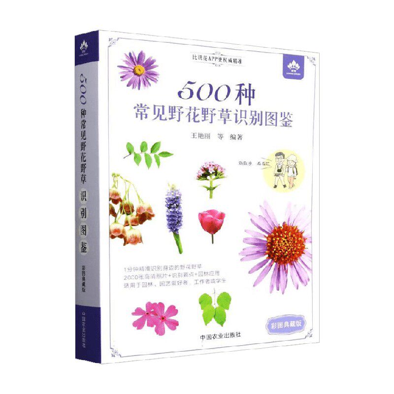 500种常见野花野草识别图鉴 王艳丽等 著 科学与自然