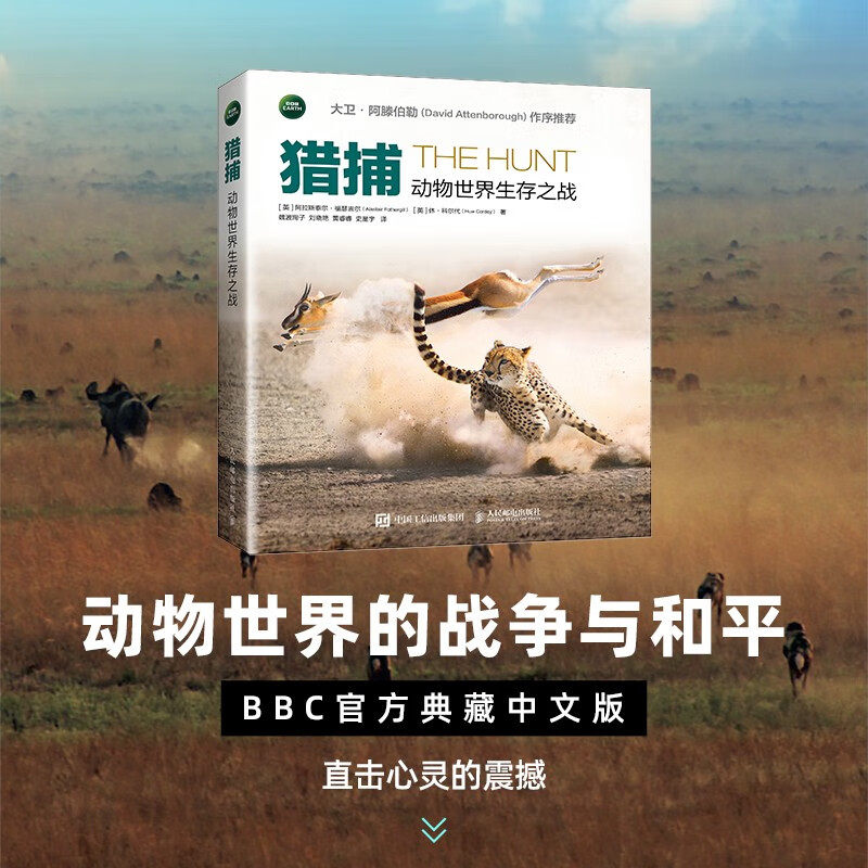 猎捕 动物世界生存之战 阿拉斯泰尔·福瑟吉尔 著 科普读物