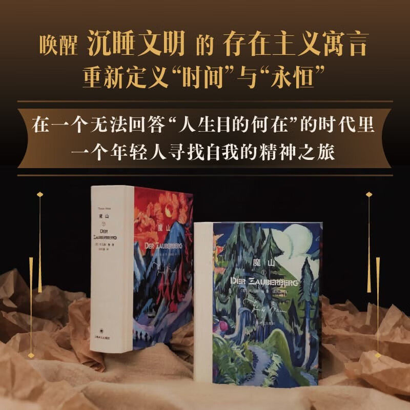 魔山托马斯·曼外国小说