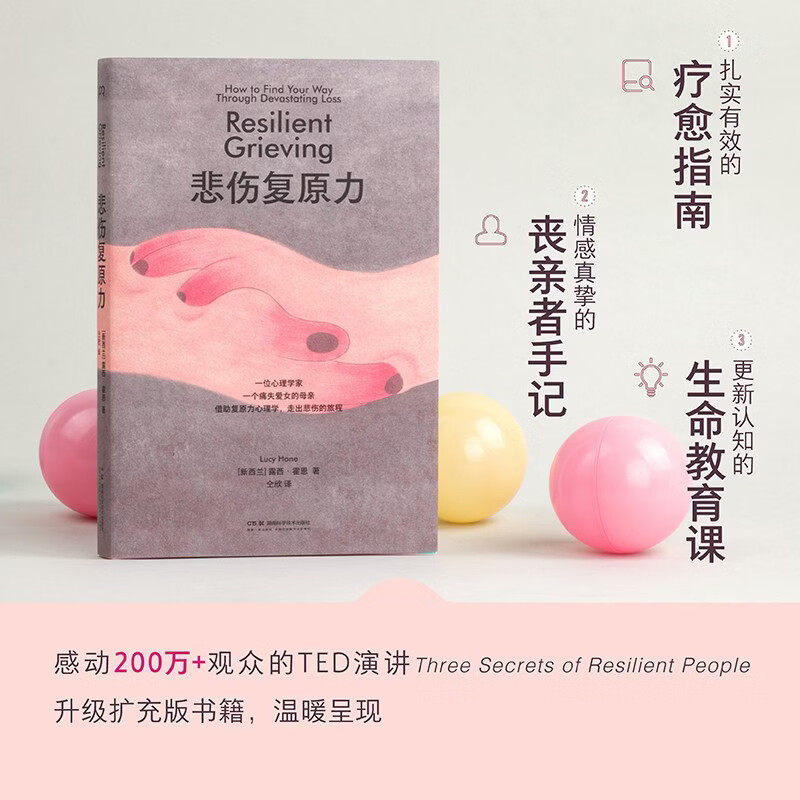 悲伤复原力 露西·霍恩 著 心理学