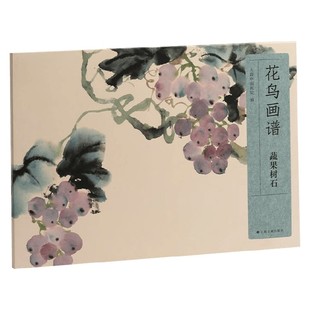 编著 上海中国画院 绘画 蔬果树石 花鸟画谱