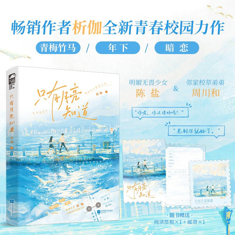 只有月亮知道青春文学