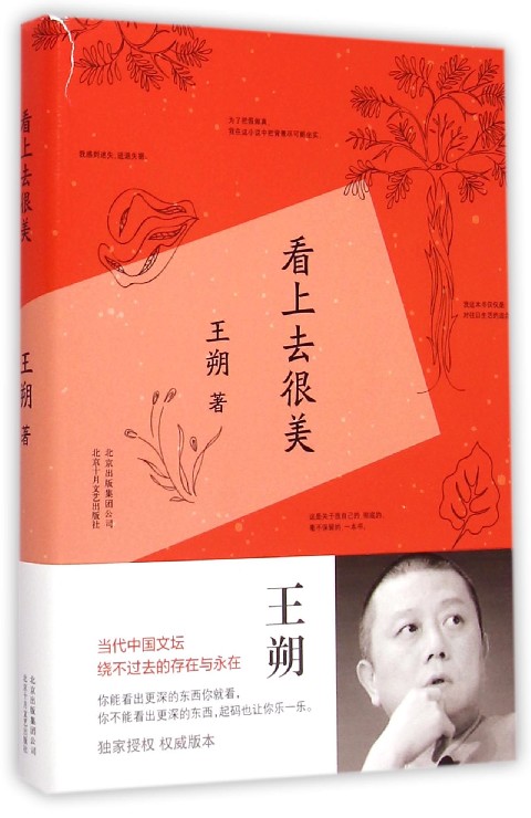 王朔:看上去很美（2015版） 当代中国文坛 授权版本 当代文学 名家经典 小说 文学 空中小姐 浮出海面 一半是火焰 一半是海水 中信