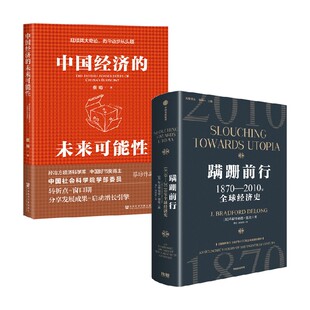 著 蹒跚前行 布拉德福德·德龙等 未来可能性 经济 中国经济