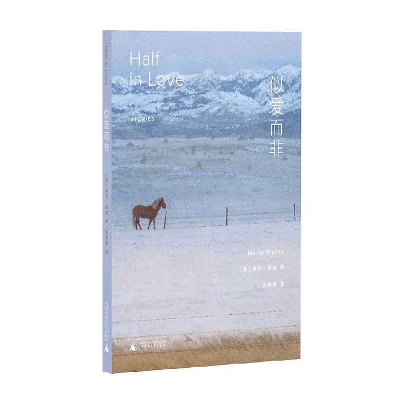 似爱而非麦莉·梅洛小说