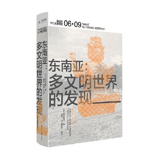 历史 讲谈社兴亡 著 石泽良昭 中信 世界史06