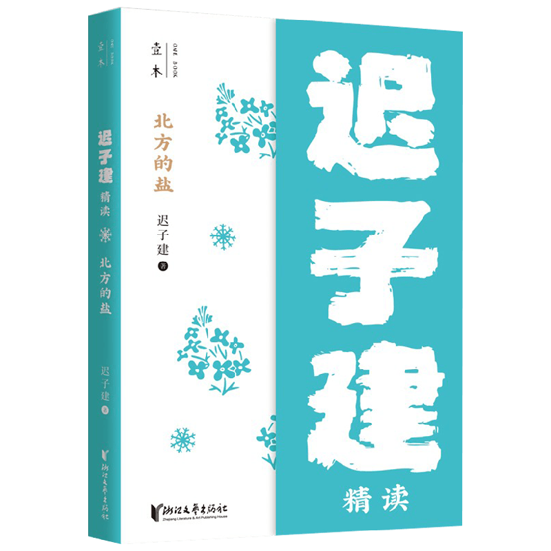 北方的盐 迟子建精读 迟子建 著 文学