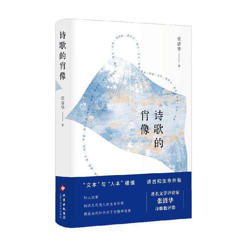 诗歌的肖像 张清华 著 文学研究