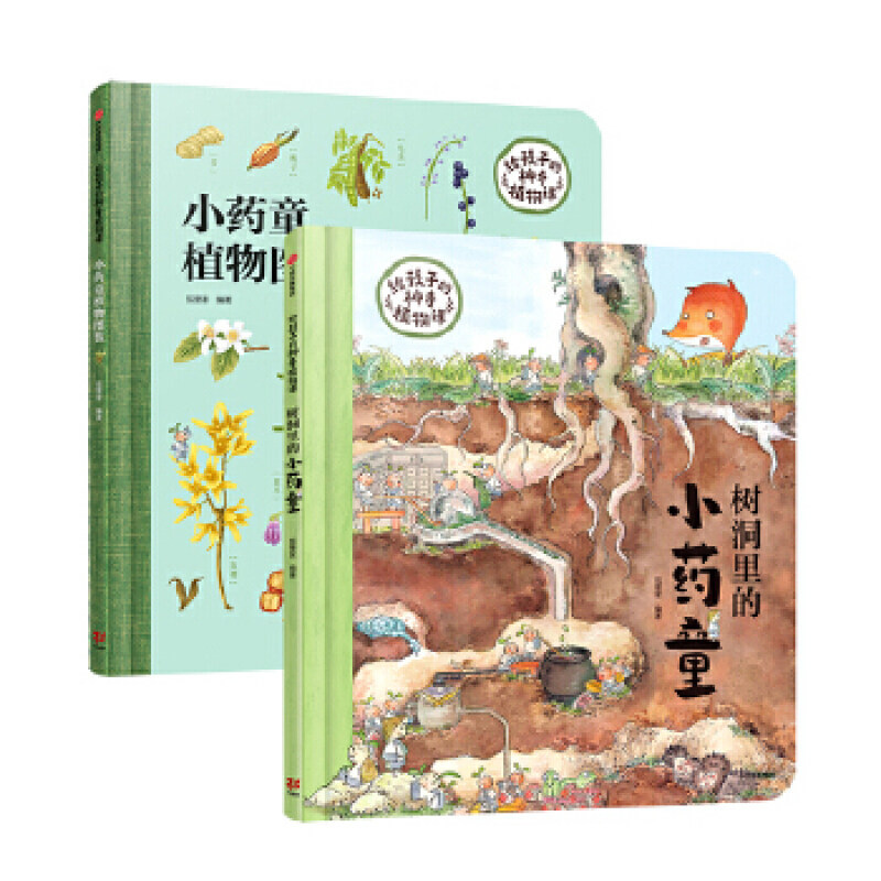 【3-6岁】给孩子的神奇植物课狐狸家著探秘植物精灵的秘密花园发现中草药的童话世界习得常见中草药常识储备自然百科知识 中信