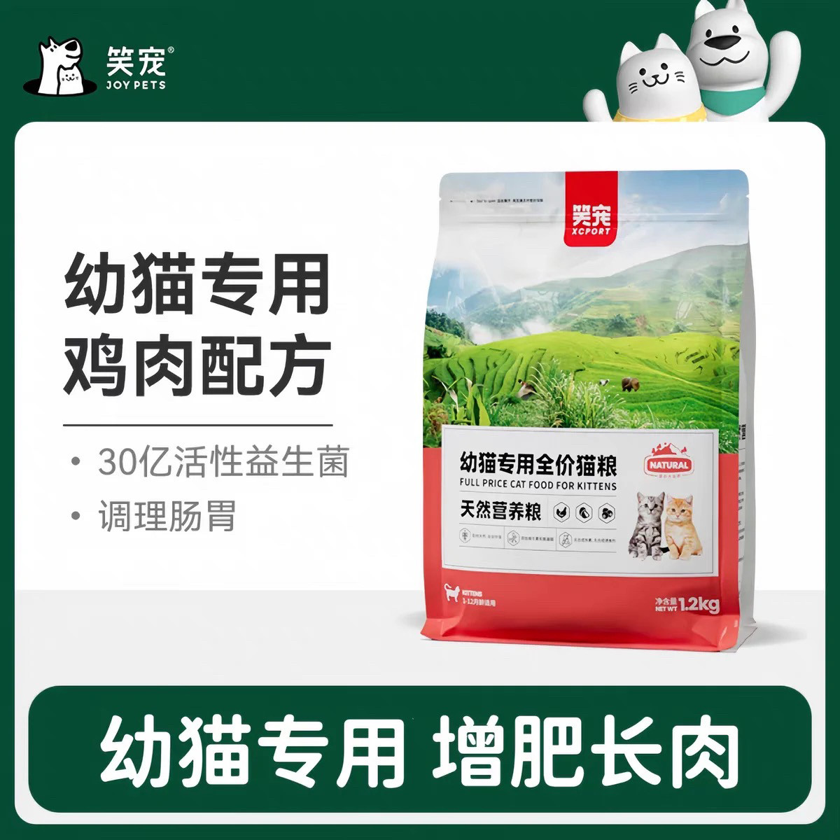 布偶蓝猫美短英短小包装笑宠图片