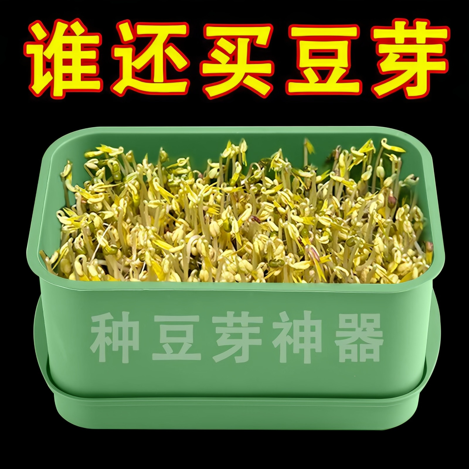 绿色塑料育苗盘长方形种植豆芽芽苗菜家用发芽盆营养钵发豆芽神器